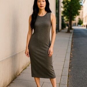 Wilfred Free Grey Dress

#1224